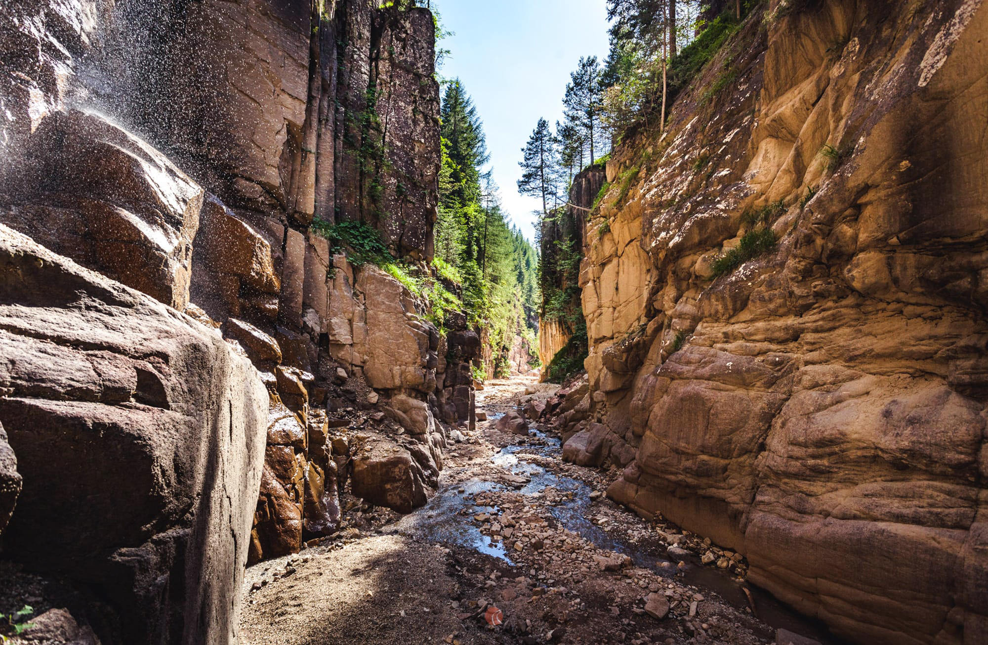 Schmale Felsenschlucht mit steilen, gegliederten Wänden, trockenem Geröll- und Bachbett, Nadelbäume auf dem oberen Kamm