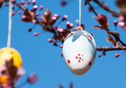 Wei&szlig;es Osterei mit roten Punkten h&auml;ngt an einem Zweig mit Knospen vor blauem Himmel.