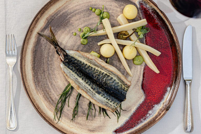 Makrele mit Haut auf Keramikteller, weiße Spargelstangen, kleine Kartoffelbällchen, grüne Kräuterstängel und rotes Püree