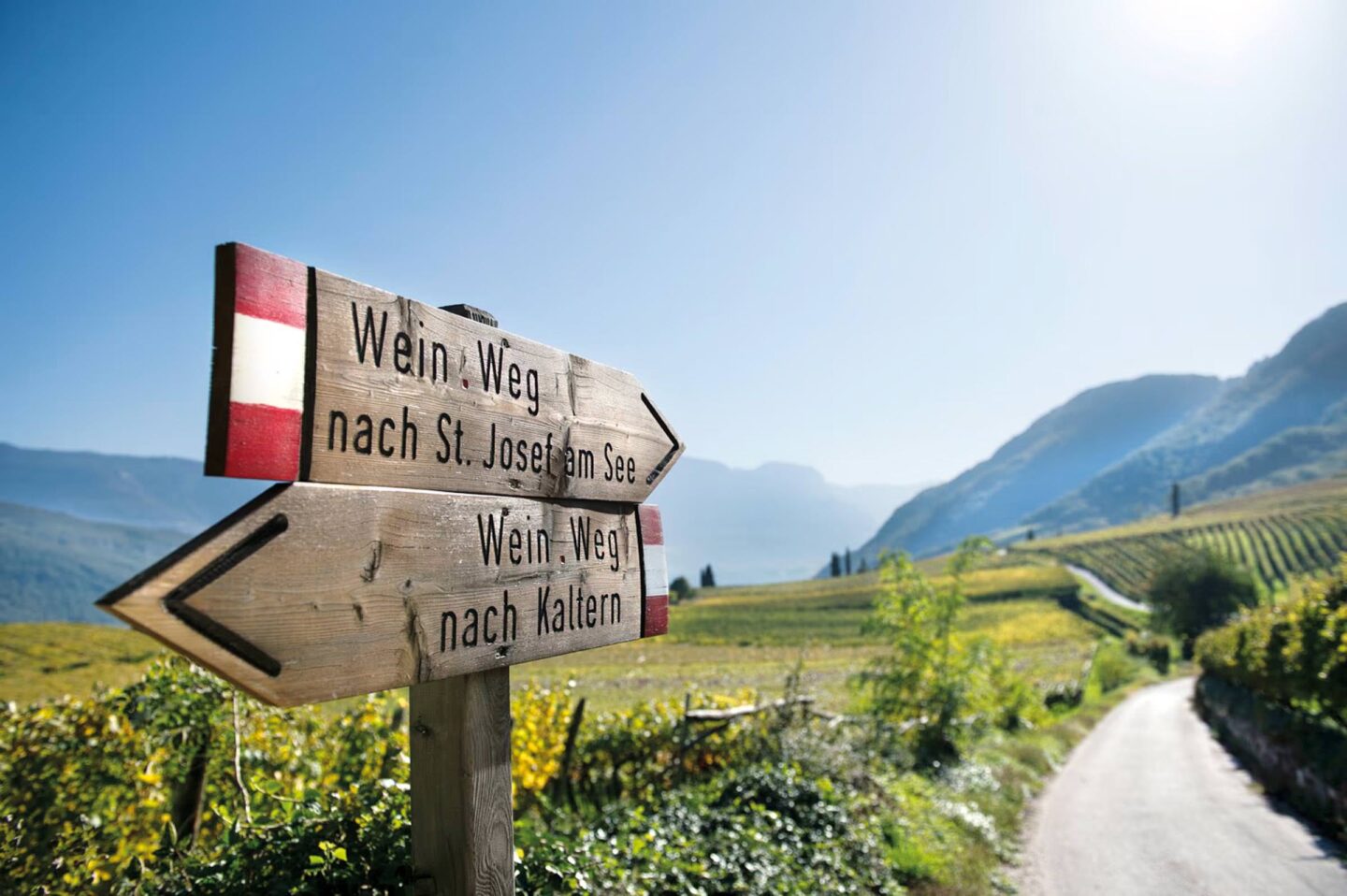Holzwegweiser mit 'Wein-Weg'-Pfeilen an einem Weg zwischen Rebreihen und offenem Gelände, im Hintergrund Berge und See.