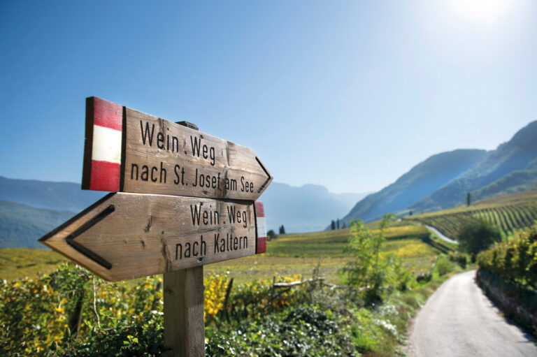 Holz-Wegweiser am Wegesrand, Wiese im Vordergrund, dahinter Seeufer und Berge bei klarem Himmel (Kalterer See)