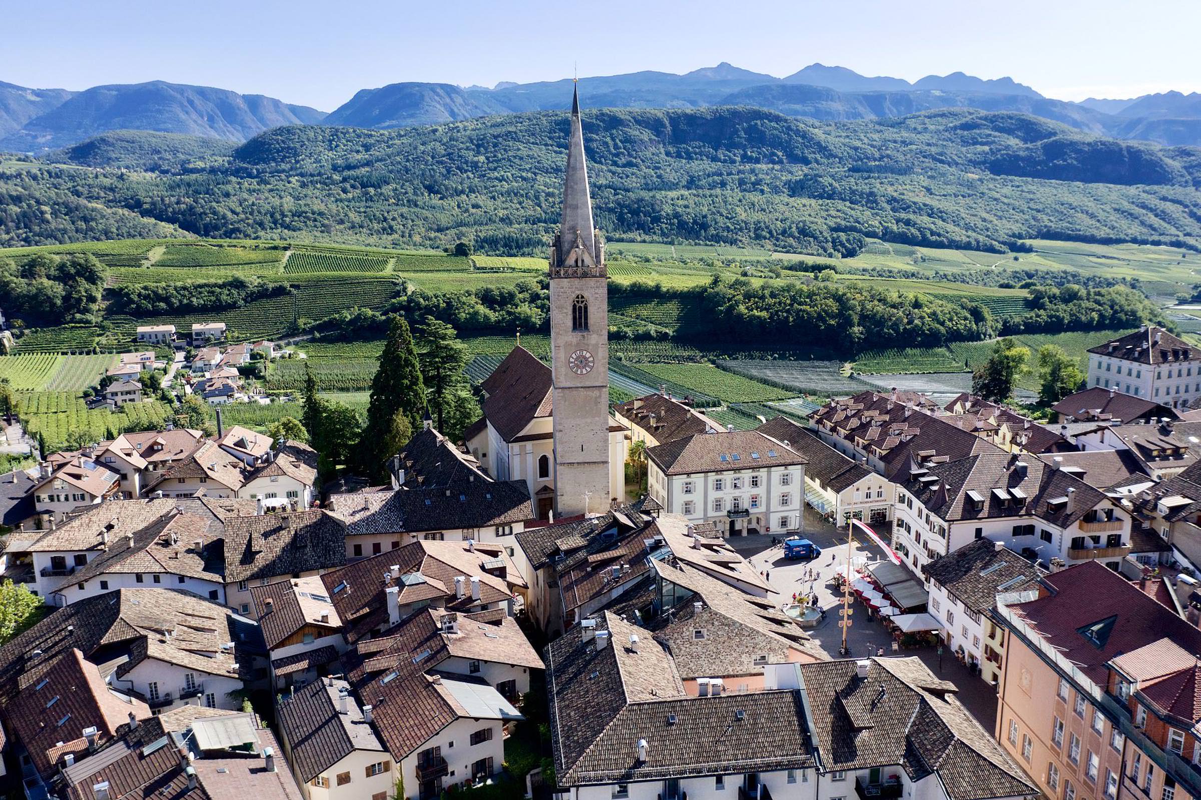 Ortszentrum mit hohem Kirchturm, dichten Dächern, umliegenden Weinbergen und Wäldern im Hintergrund