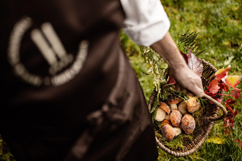 Erdige Hand greift in Korb mit frisch geernteten Kartoffeln auf Gras; dunkle Schürze sichtbar, Eigenanbau.