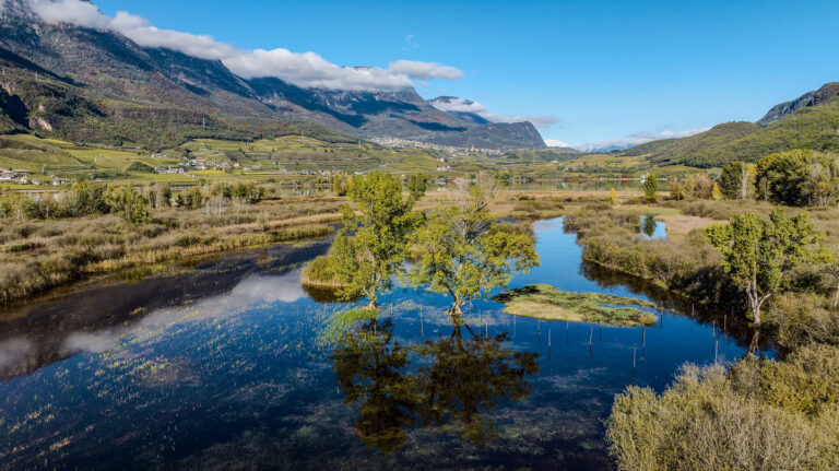 Flaches Ufer mit kleinen Bäumen in Spiegelung, Sumpfvegetation und Bergen unter blauem Himmel am Kalterer See