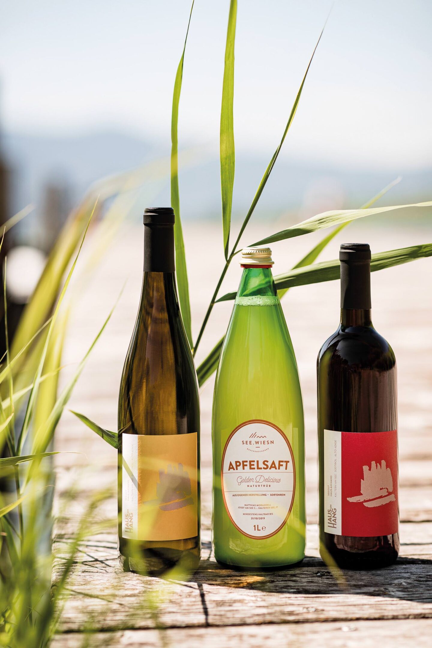 Drei Flaschen (hellgrün, hell, dunkel) stehen zwischen hohen Schilfhalmen vor verschwommenem Wasser; Etiketten sichtbar.